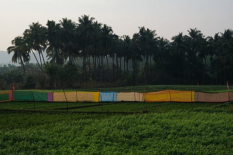 Photographs by Indrajeet Khambe 