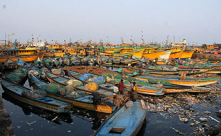 Mechanised boats anchored at the fishing harbour in Visakhapatnam. 
