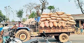 Farmers transporting paddy bags to the protest site on a tractor 