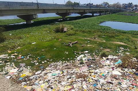Garbage piled up in Vaigai river near Sellur water tank in Madurai 