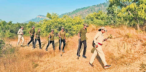 Members of the women enforcement squad patrolling in Debrigarh sanctuary.