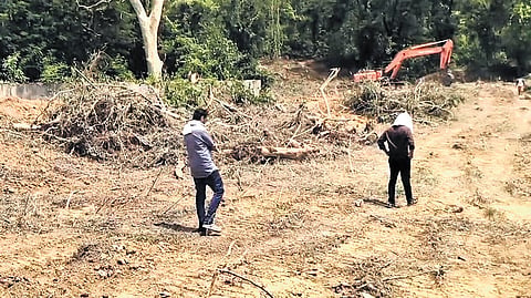 Felled trees being cleared from near Jhinjirband pond in Baripada town 