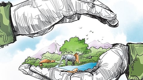 Jharkhand currently has 17 identified elephant corridors. Efforts are also underway to expand forest cover and strengthen connectivity between these corridors to facilitate safer movement of elephants. 