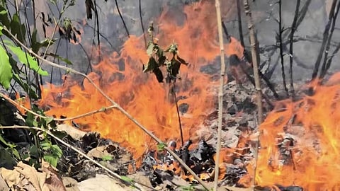 Fire erupts in the Ramnagar Forest Division near the Tilmat temple in the Tedha region.