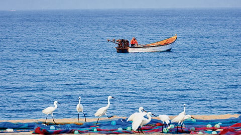 The Last Road to the Sea