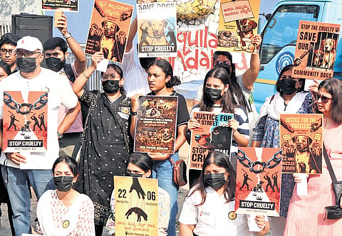 Members from Bengaluru Unites for Compassion hold a peaceful protest at Freedom Park in Bengaluru on Saturday against the killing of stray dogs on DRDO Phase 2 campus 