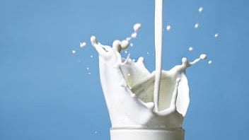 milk