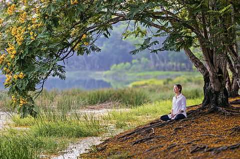 Lessons from Nature