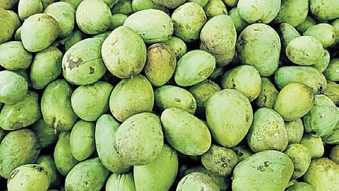 Mango 