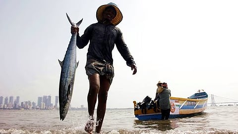 Tamil Nadu’s 1,076-km coastline is spread over 14 districts 