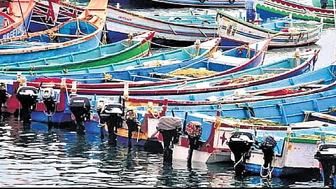 In addition to those who go fishing, a significant number of migrant workers also work in peeling sheds, netting and ice plants.