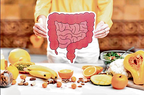 Gut Instinct 
