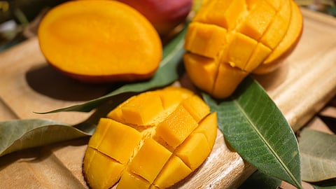 Cooking with the Mango 