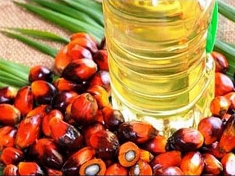 Edible oil