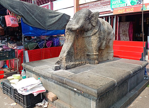 The elephantine puzzle of ‘Kallana’
