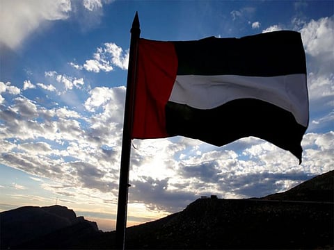 UAE exit from OPEC+ may not ease oil prices, could heighten volatility, weaken cartel premium: Report