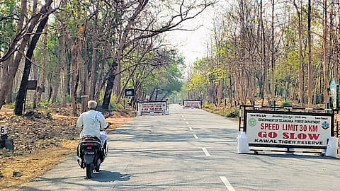 Barricades installed in the core area of Kawal Tiger Reserve in Adilabad district to prevent vehicles from travelling at high speeds and protect wildlife