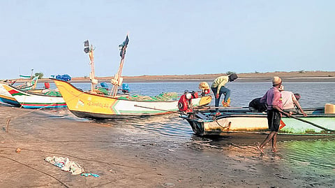 Boats anchored at the Manginapudi fishing point in Krishna district.