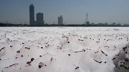 Thick toxic foam drifts across the surface of the Yamuna river.