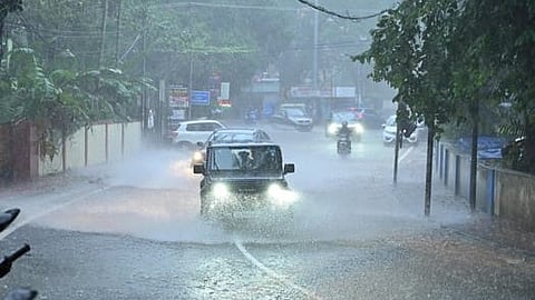 Heavy rain refers to rainfall between 64.5 mm and 115.5 mm within 24 hours.