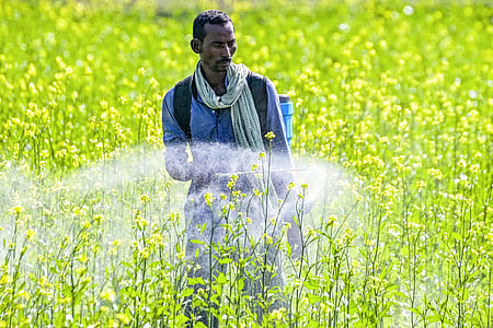 Diversified incomes, irrigation to shield India’s agri sector from El Niño: Report