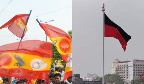 TVK & DMK flag used for representational purposes only.
