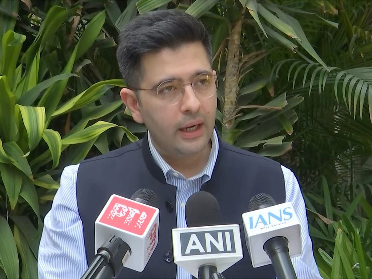 BJP's Raghav Chadha appointed chairman of Rajya Sabha Committee on Petitions