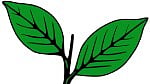 AIADMK Logo