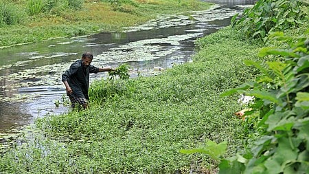 Karamana river