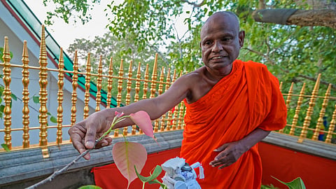 Pallegama Hemarathana, 71, was arrested at a private hospital in the capital Colombo, where he had sought treatment over the weekend amid an investigation into the alleged abuse. 