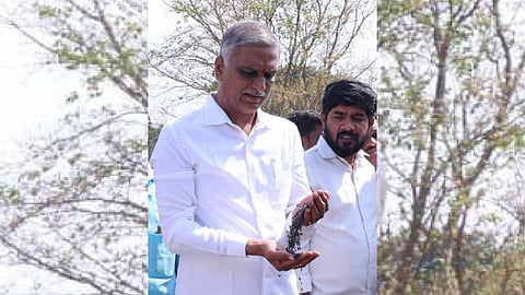 BRS MLA T Harish Rao inspects the IKP center in Chinnakodur.