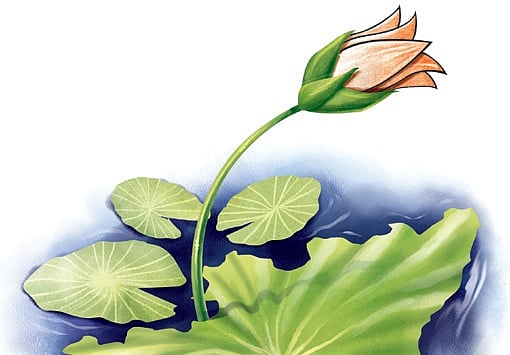 Is BJP losing hope in Manjeshwar and Palakkad?