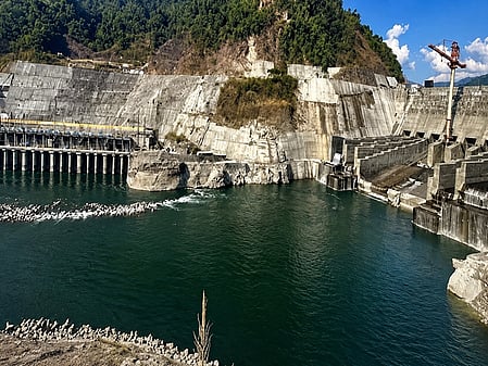 2,733 hectares of forest land cleared for Arunachal's Subansiri hydro project amid felling concerns