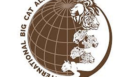 Tamil Nadu, regarded as one of the leading states in tiger conservation, has five notified tiger reserves: Mudumalai, Sathyamangalam, Anamalai, Kalakad Mundanthurai and Srivilliputhur Megamalai. 