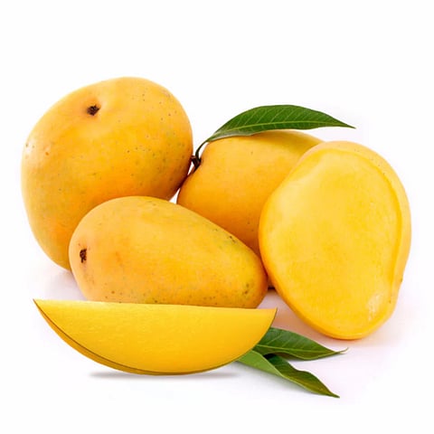 Soul-touching recipes of a seasonally sacred fruit 