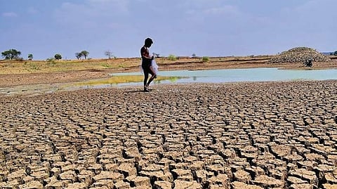 The government has taken this action due to the drastic decrease in groundwater levels and increased water consumption.