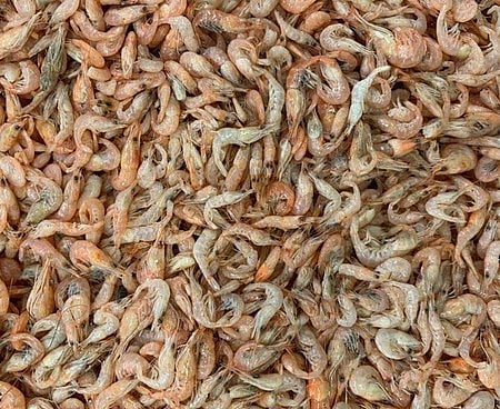 The real star of the export basket continues to be frozen shrimp, which contributed nearly two-thirds of India’s seafood export earnings. 