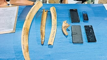 During the operation, forest officials recovered two elephant tusks weighing about 1.9 kg and elephant jaw bones. Four mobile phones were also seized from the possession of the accused.