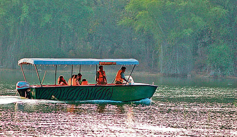 Witness the largest congregation of 
Asian elephants