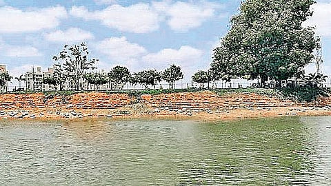 Yelahanka Lake 