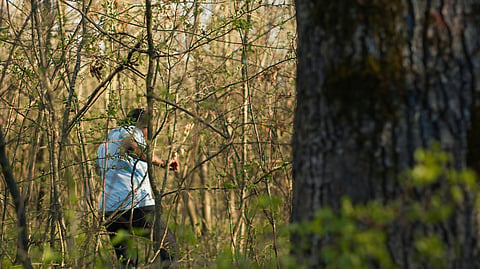 A flicker of doubt that led to a manhunt in the woods