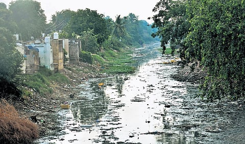 Sewage and garbage get mixed in Eluru canal in Vijayawada emanating foul smell.