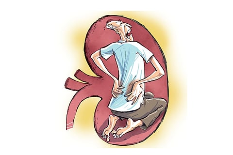 urinary infections, kidney stones