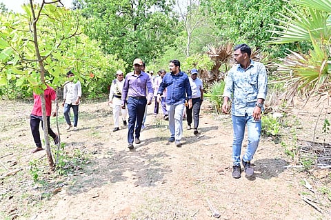Polavaram District Collector K Dinesh Kumar said the initiative was launched under the directions of Chief Minister N Chandrababu Naidu to improve tribal livelihoods through forest-based economic activities. 
