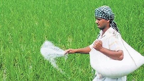 fertilizer 