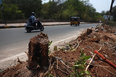 Maheshwari, a core campaigner of the Save KBR movement  warned that replacing ecological protection with concrete infrastructure would worsen heat, noise, traffic congestion and pollution around the park. 