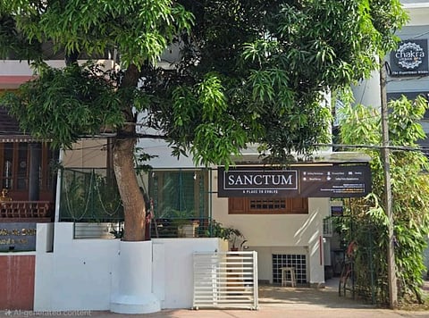A sweet, fruitful space growing under a mango tree