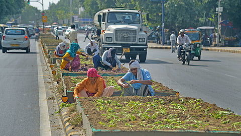 MCD workers planting saplings on Barakhamba Road as Temperature increases to 43 degree on Monday.