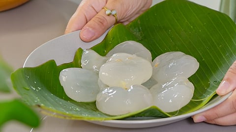Summer 2026: Ice apple recipies 