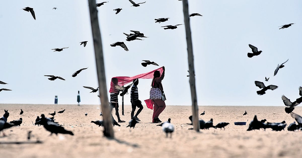 Chennai sizzles at 42°C owing to weak sea breeze, hot winds from Andhra Pradesh